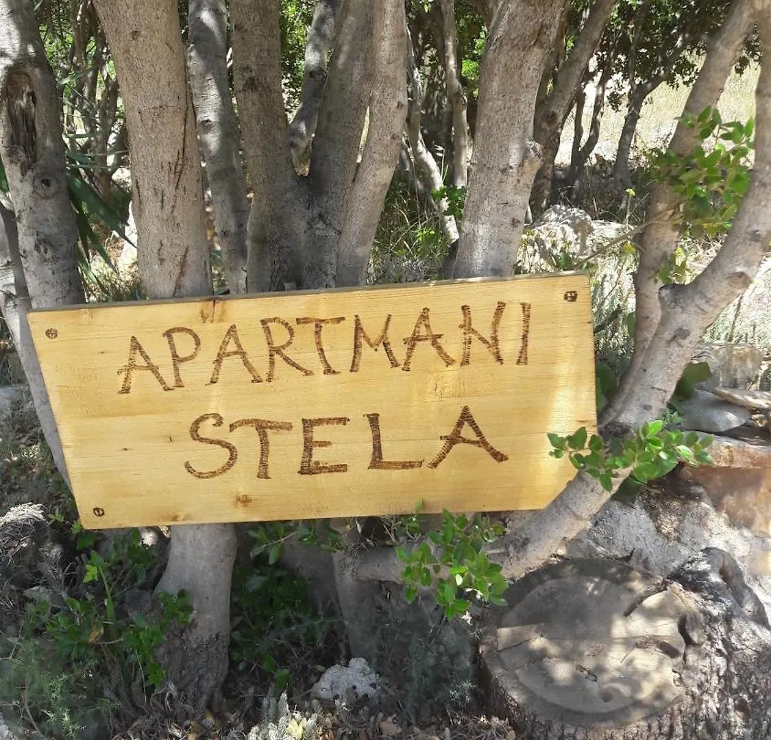Ferienwohnung Stela In Karin Gornji Gornji Karin